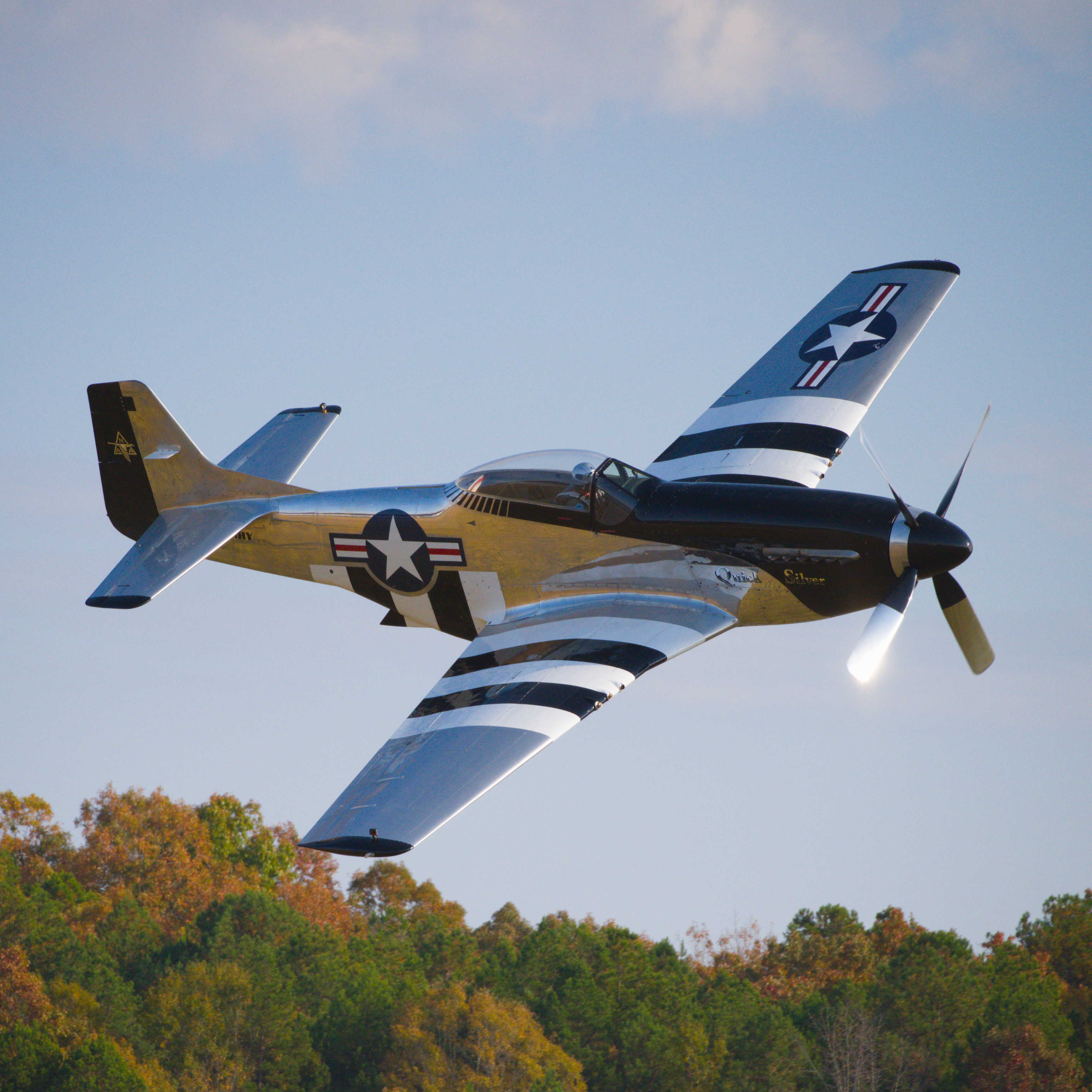 Monroe Airshow 3