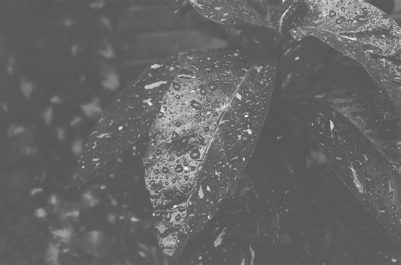 Film 10
